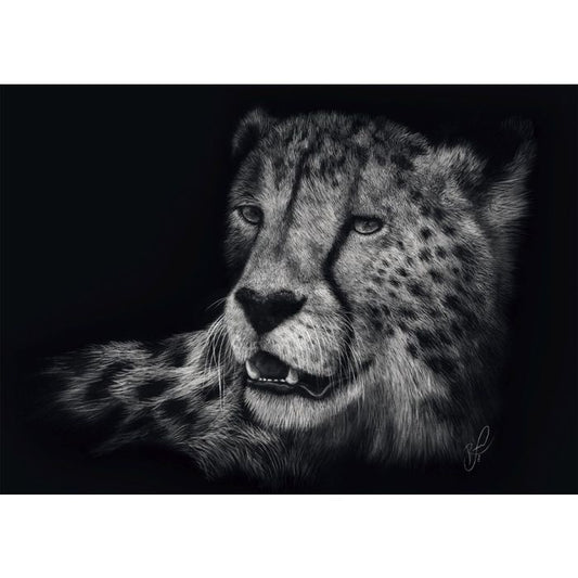 Ashley Rader: Speed - Gepard, im Zeichen der Anmut, 1.000 Teile Puzzle