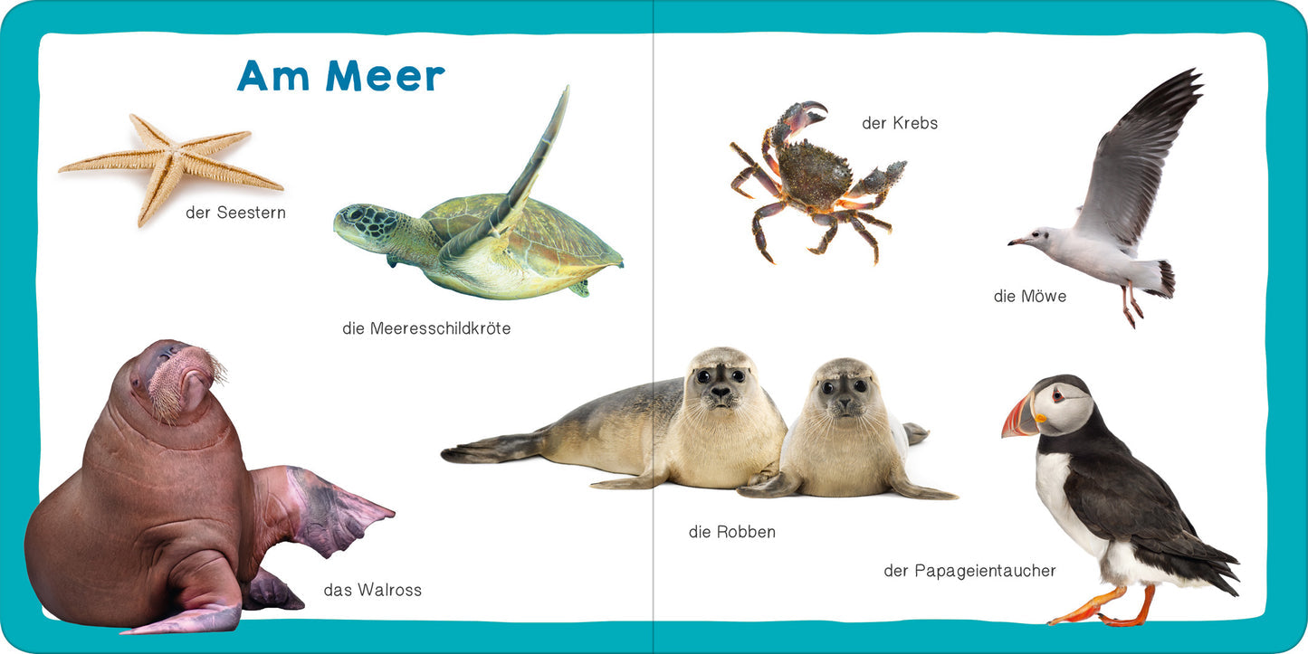 Meine ersten 100 Tiere