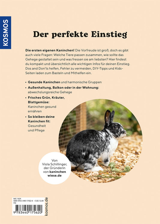 ZWERGKANINCHEN