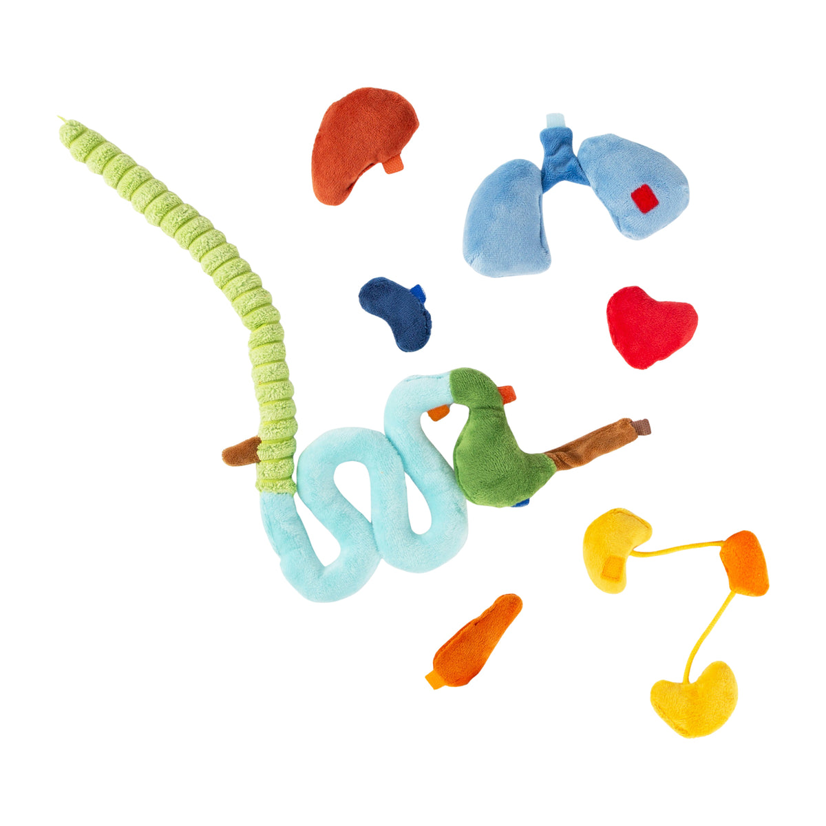 Sigikid Lern-Puppe Erwin – Buch zu den Organen
