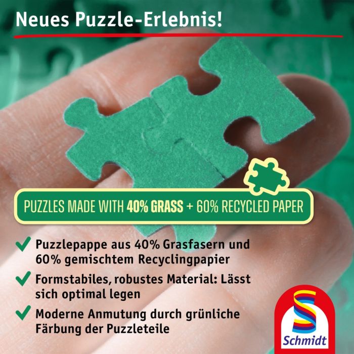Die Fussballbande: Leons Fallrückzieher, 200 Teile, Grasfaser Kinderpuzzle