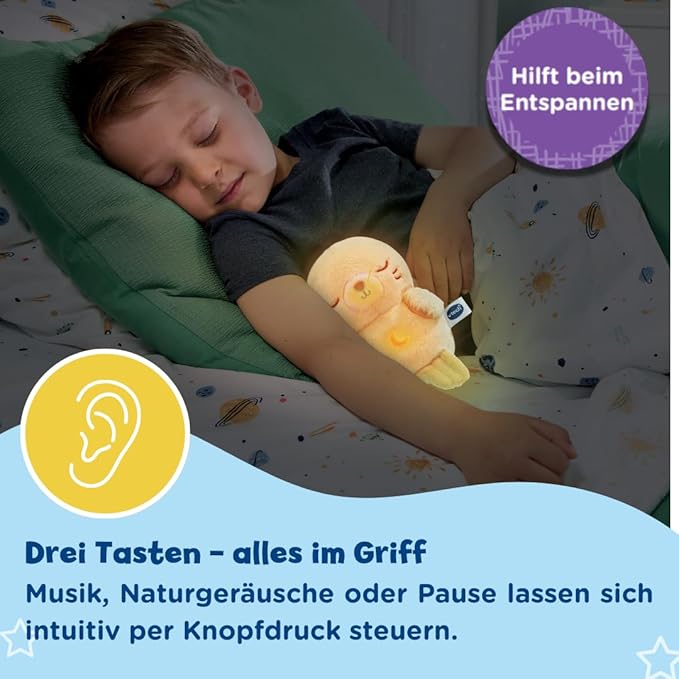 VTech Baby Kuschel-Robbi 0-36 Monate