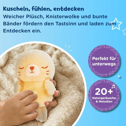 VTech Baby Kuschel-Robbi 0-36 Monate