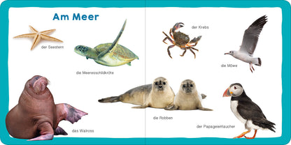 Meine ersten 100 Tiere