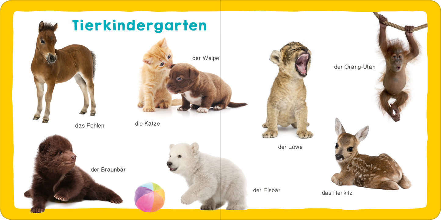Meine ersten 100 Tiere