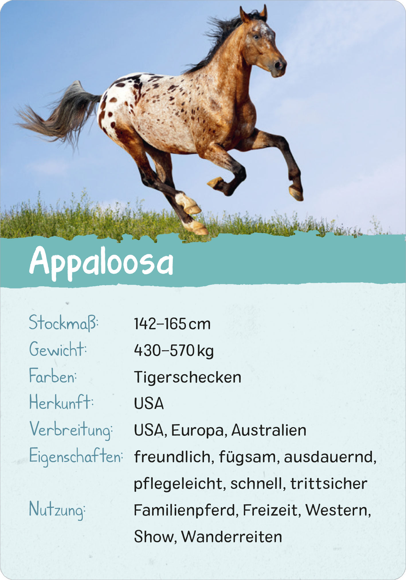 Naturforscher-Kids – Pferde & Ponys