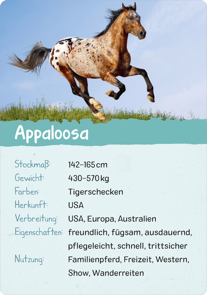 Naturforscher-Kids – Pferde & Ponys