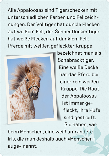 Naturforscher-Kids – Pferde & Ponys