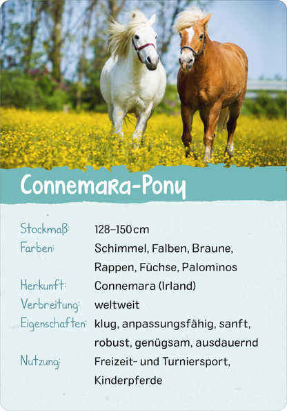 Naturforscher-Kids – Pferde & Ponys