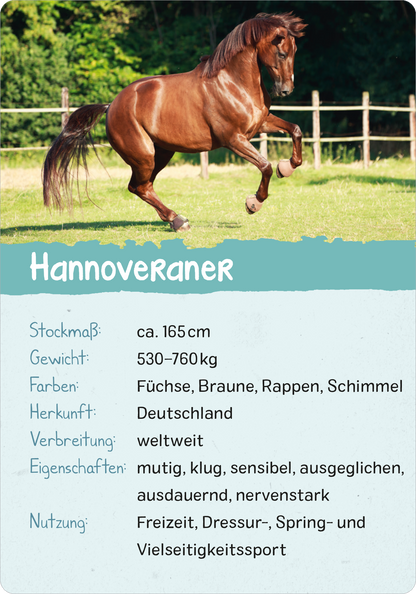 Naturforscher-Kids – Pferde & Ponys