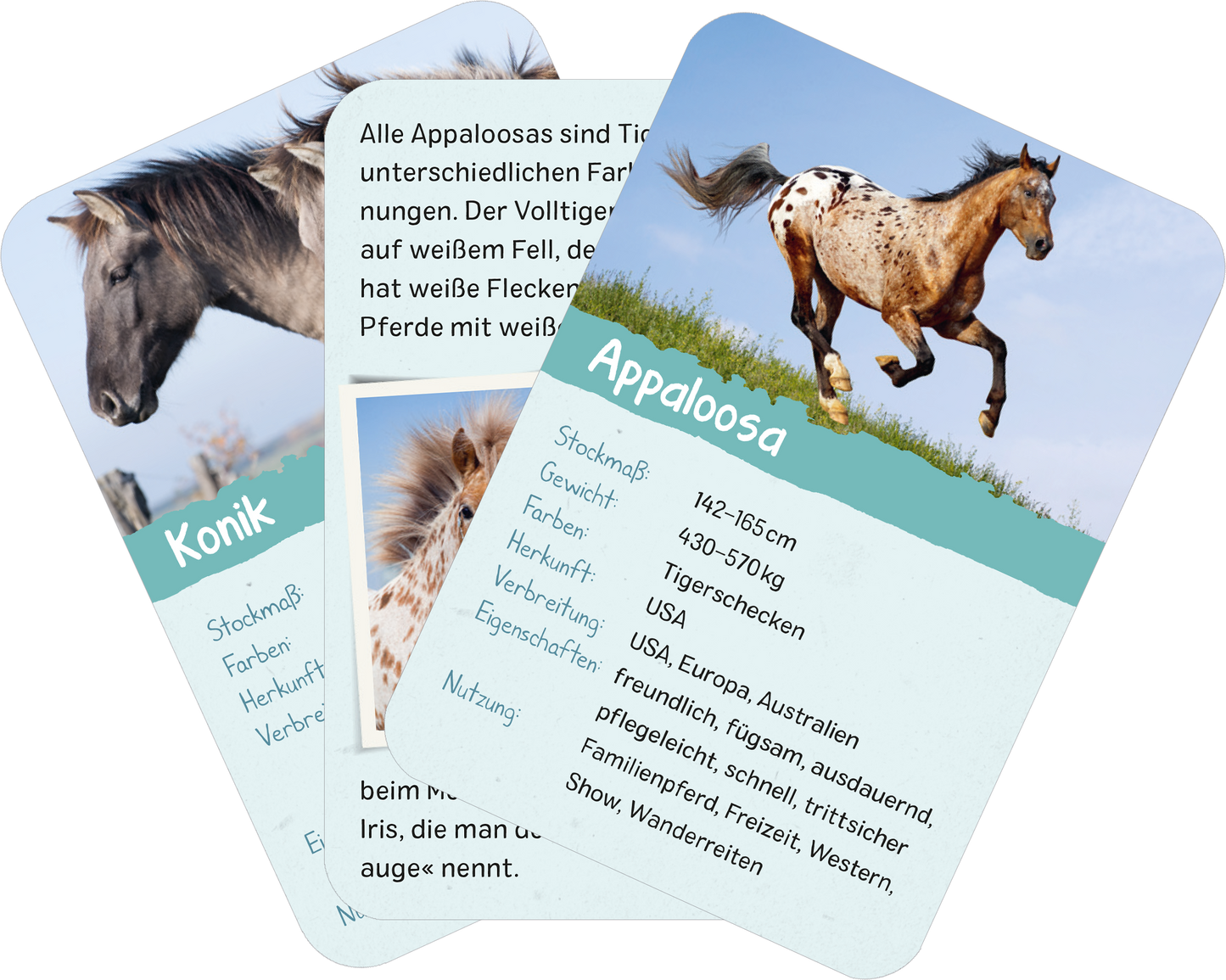 Naturforscher-Kids – Pferde & Ponys