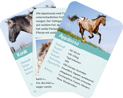 Naturforscher-Kids – Pferde & Ponys
