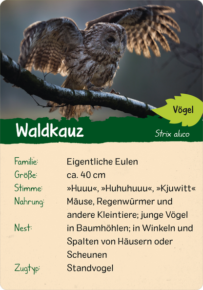 Naturforscher-Kids – Wald