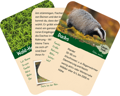 Naturforscher-Kids – Wald