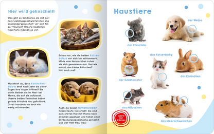 Mein großes Geräuschebuch – Tierbabys