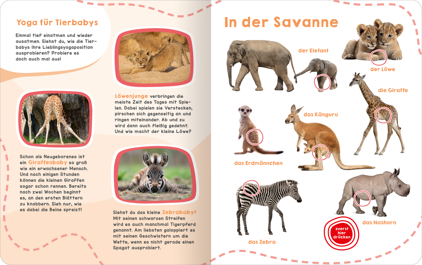 Mein großes Geräuschebuch – Tierbabys
