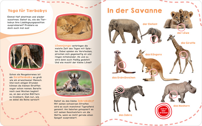 Mein großes Geräuschebuch – Tierbabys