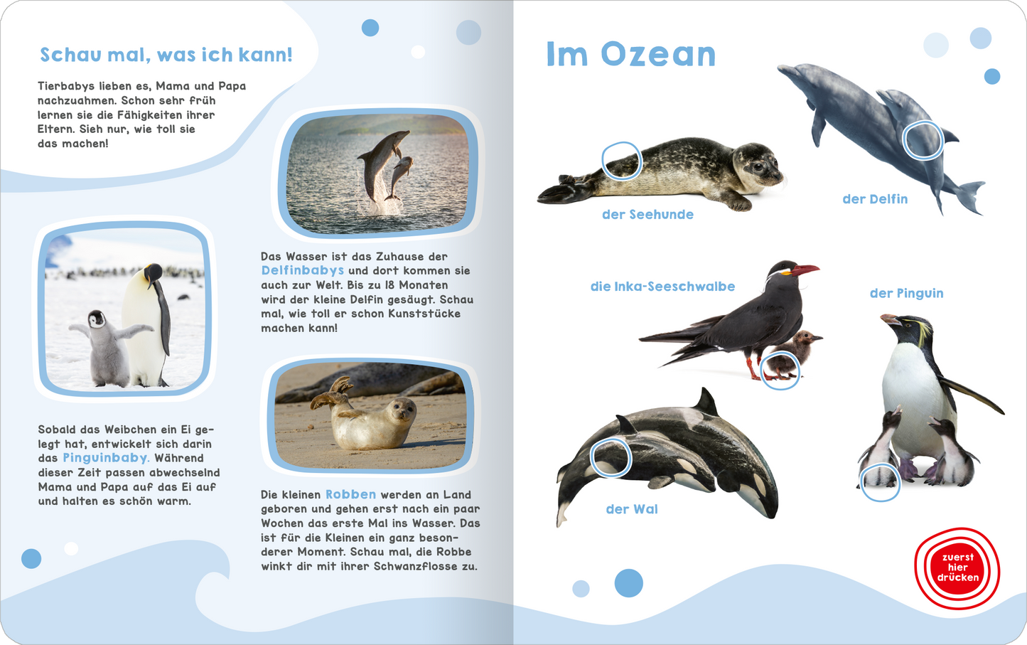 Mein großes Geräuschebuch – Tierbabys