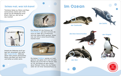 Mein großes Geräuschebuch – Tierbabys