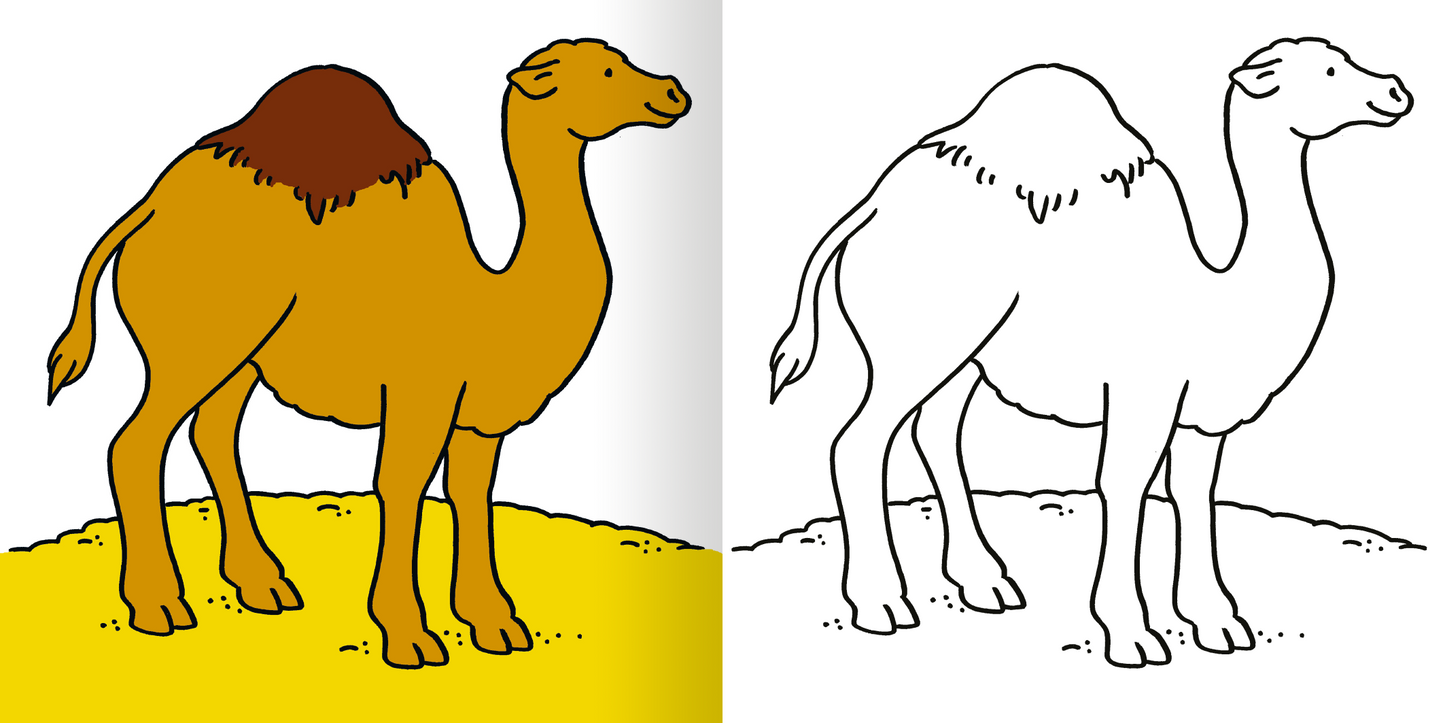 Mein erstes dickes Malbuch ab 2 – Zoo