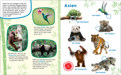 Mein großes Geräuschebuch – Tiere der Welt