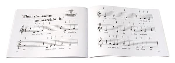 Das bunte Mundharmonika Set