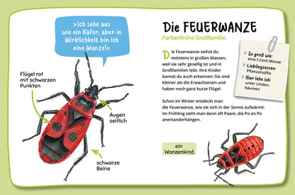 MEIN ERSTER NATURFÜHRER WAS KRABBELT DENN DA?