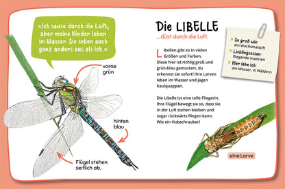 MEIN ERSTER NATURFÜHRER WAS KRABBELT DENN DA?