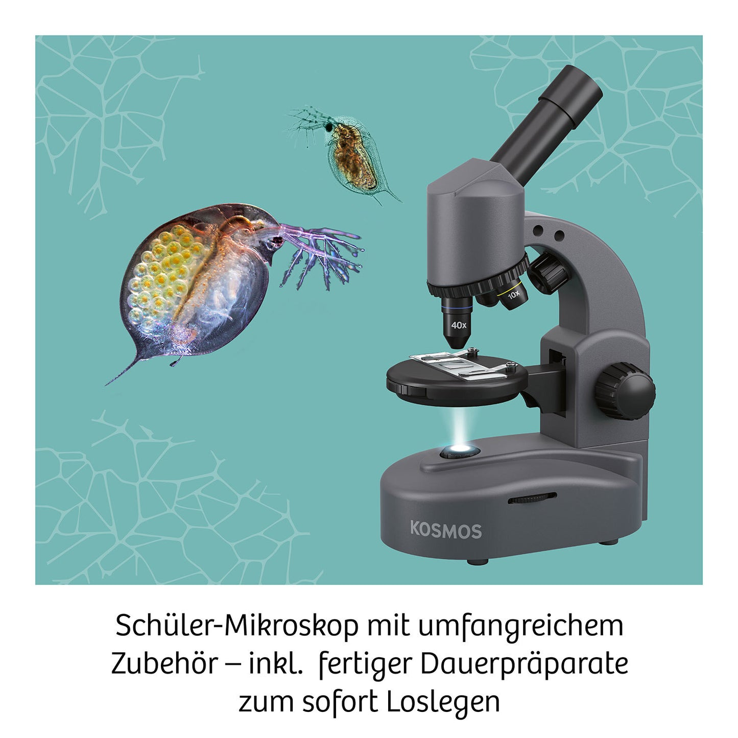 Kosmos Mikroskop Schülermikroskop mit exakter Mechanik