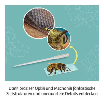 Kosmos Mikroskop Schülermikroskop mit exakter Mechanik