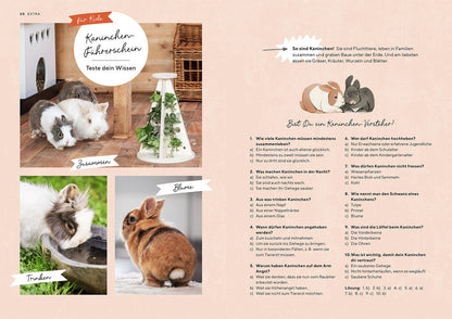 ZWERGKANINCHEN