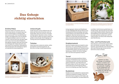 ZWERGKANINCHEN