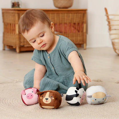 Sensory Ball Spielzeug für Baby, 4er Set