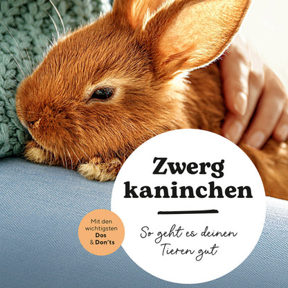 ZWERGKANINCHEN